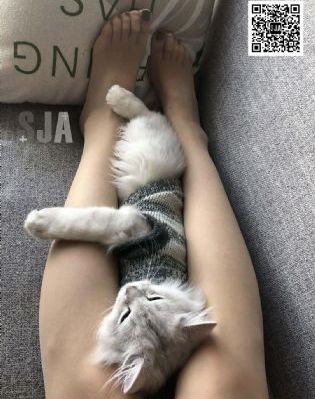 不良网站在线免费观看_1080P电影完整版