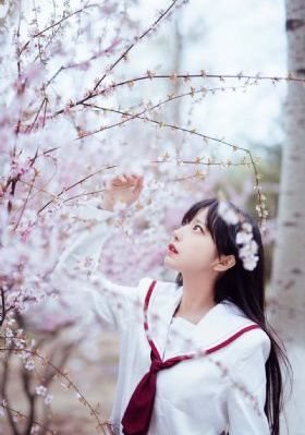 法证先锋第3部_高清视频在线观看